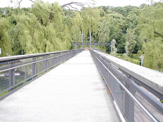 P6120009